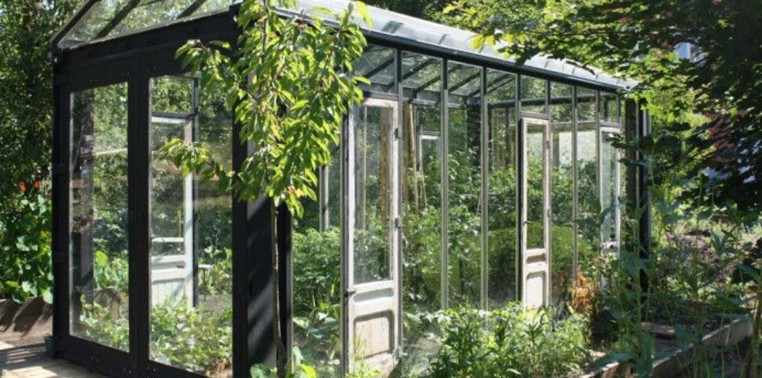 GOING GREEN: SHIPPING CONTAINER GREENHOUSES