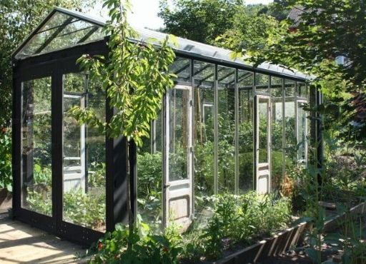 A shipping container greenhouse
