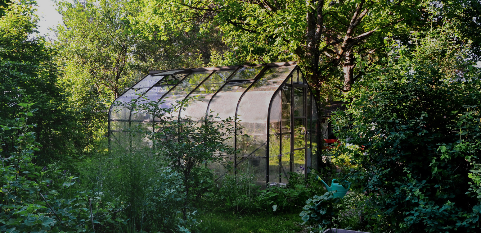 GOING GREEN: SHIPPING CONTAINER GREENHOUSES