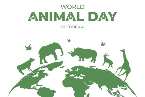 Green animal silhouettes on a globe with World Animal Day text, linking to shipping container uses for conservation and zoos.